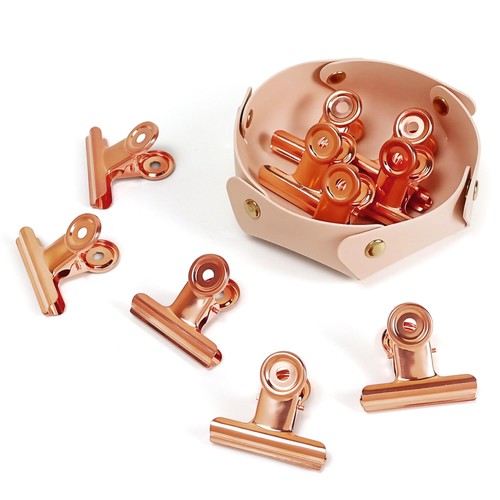 Rose gold hinge - gold, with